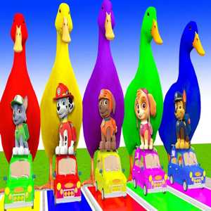 Fun with Paw Patrol and the Rainbow Ducks