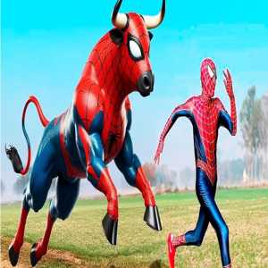 Spider - Bull Chase Adventure