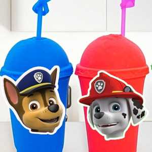 Adorable Paw Patrol Drinkware for Kids