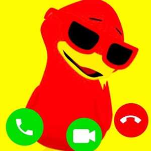 Cool Birdy's Video Call Adventure