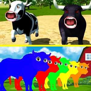 Colorful Cows Adventure