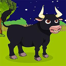 Find the same animal