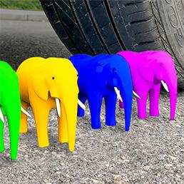 Find the same animal